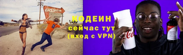 прущие грибы Приозерск