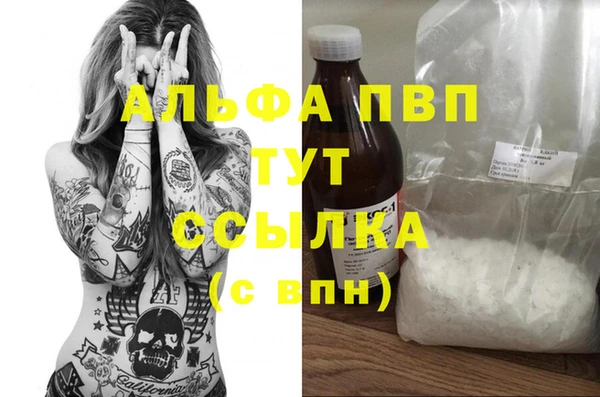 СК Алзамай